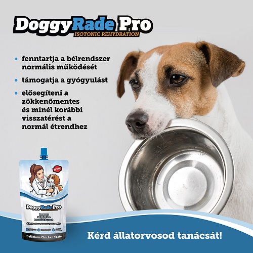 DoggyRade PRO