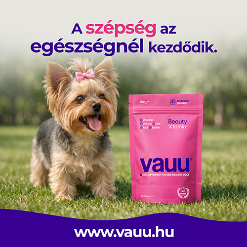 Vauu