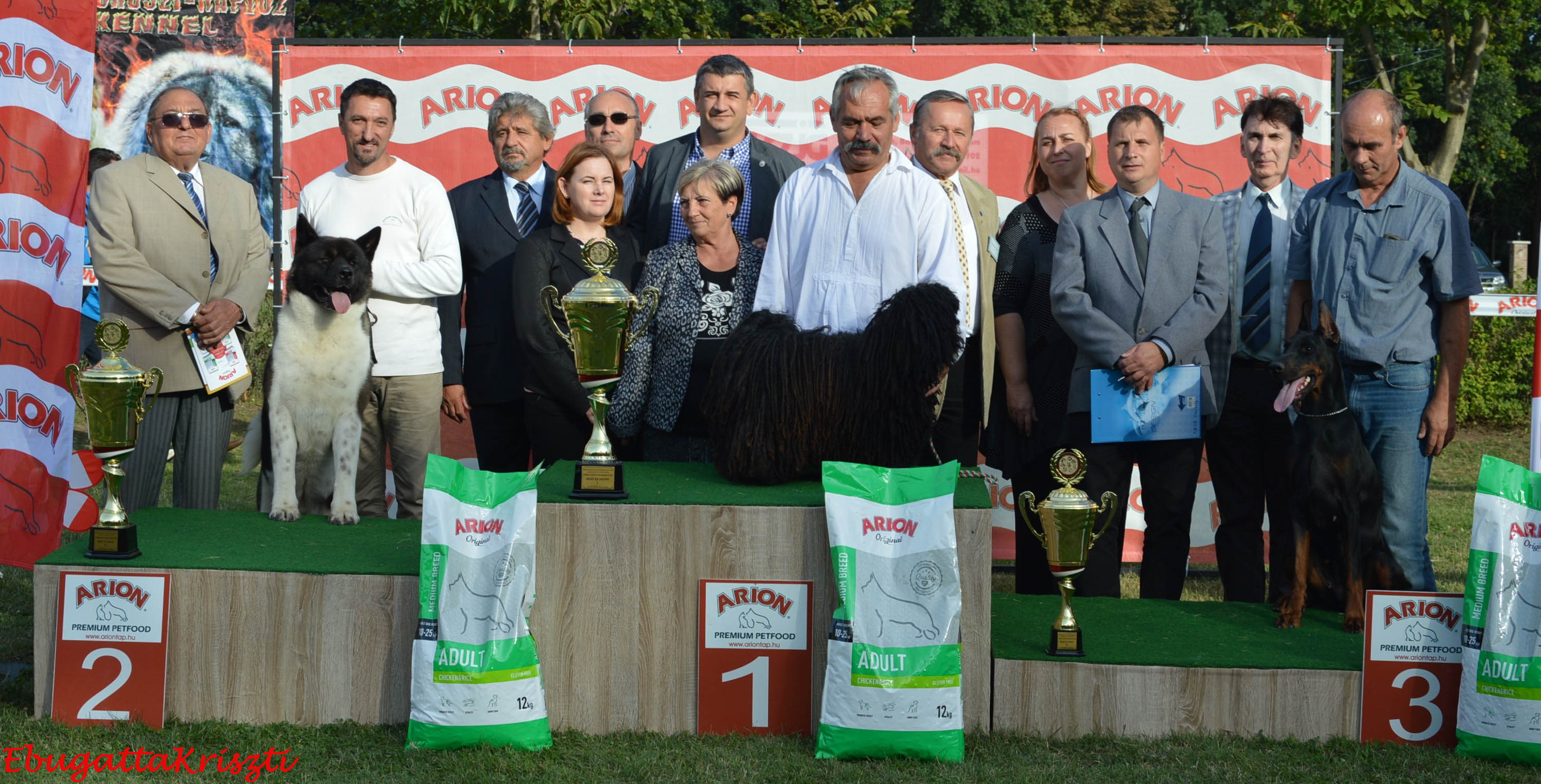 hajdudorog2016-418-of-431.jpg