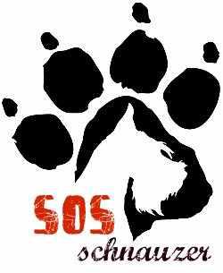 SOS Schnauzer Fajtamentő Egyesület 