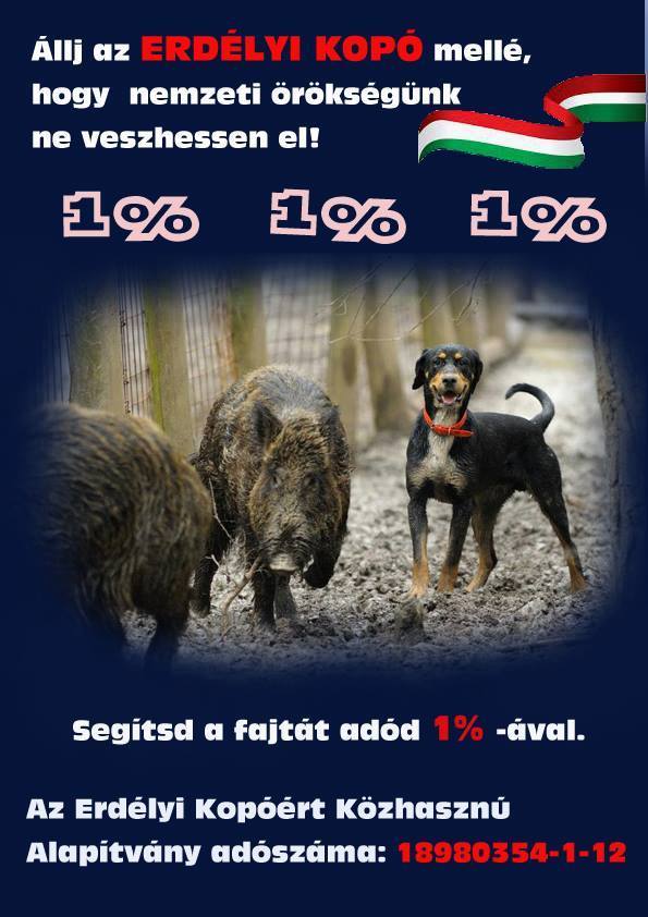 Az Erdélyi Kopóért Közhasznú Alapítvány