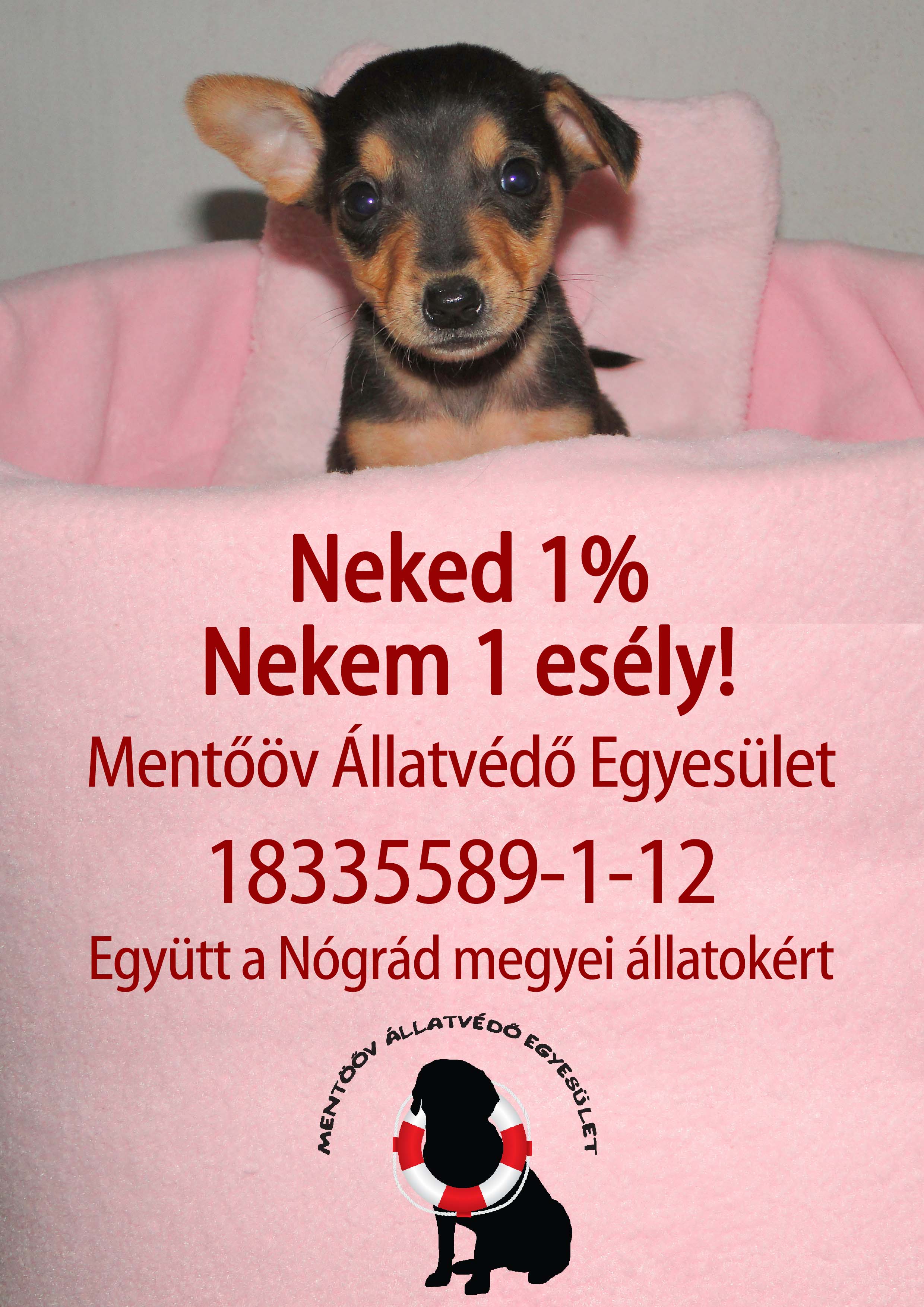 Mentőöv Állatvédő Egyesület