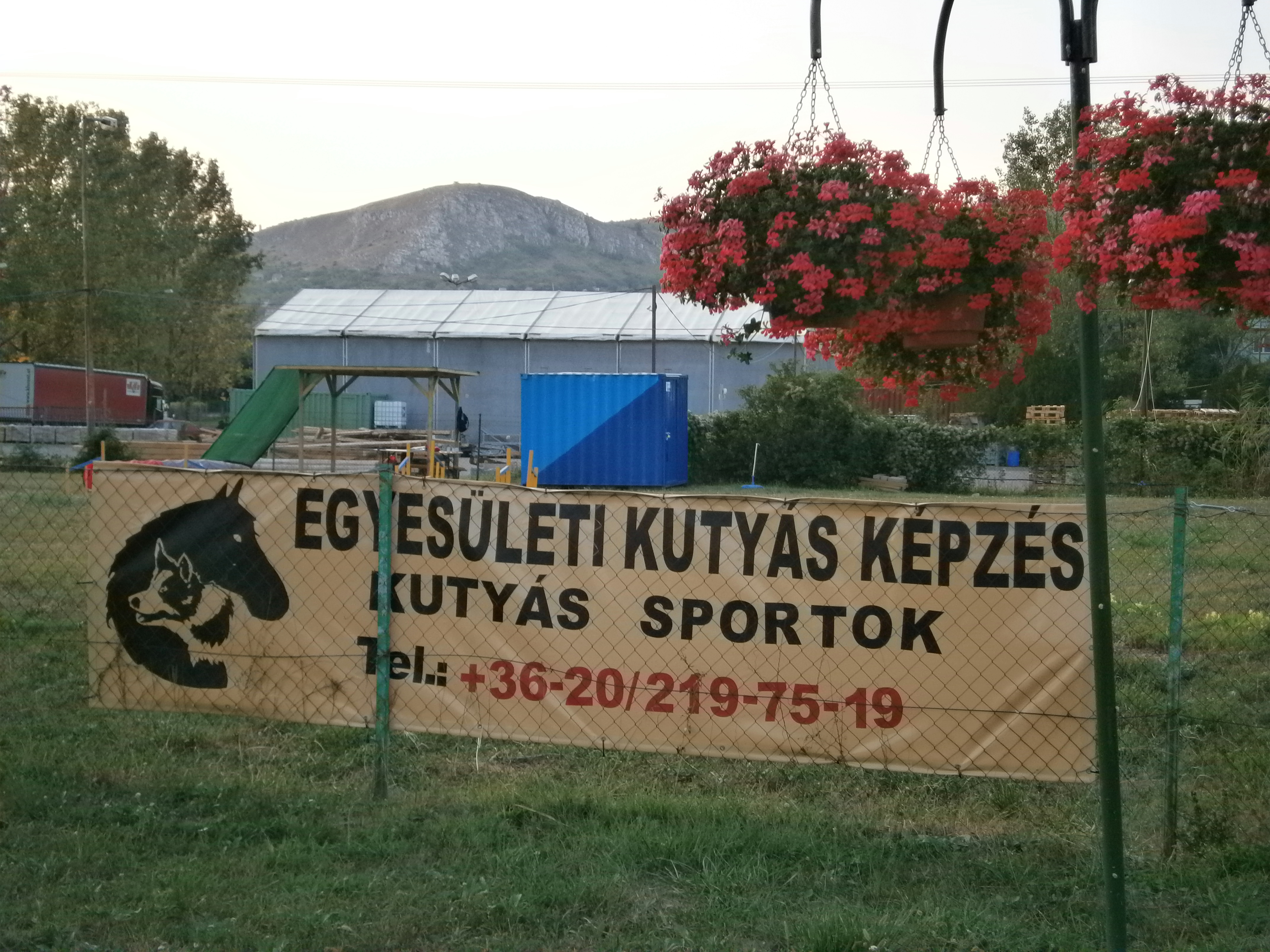 felriat-jo2.jpg felriat-jo2.jpg