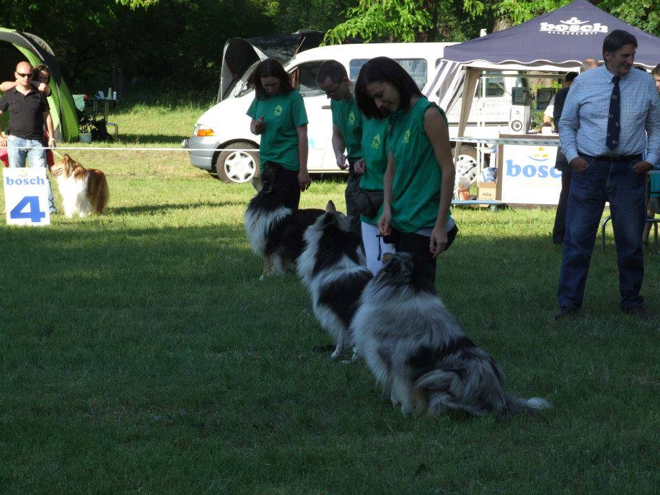 1512347-10200323797977002-188748409-n.jpg