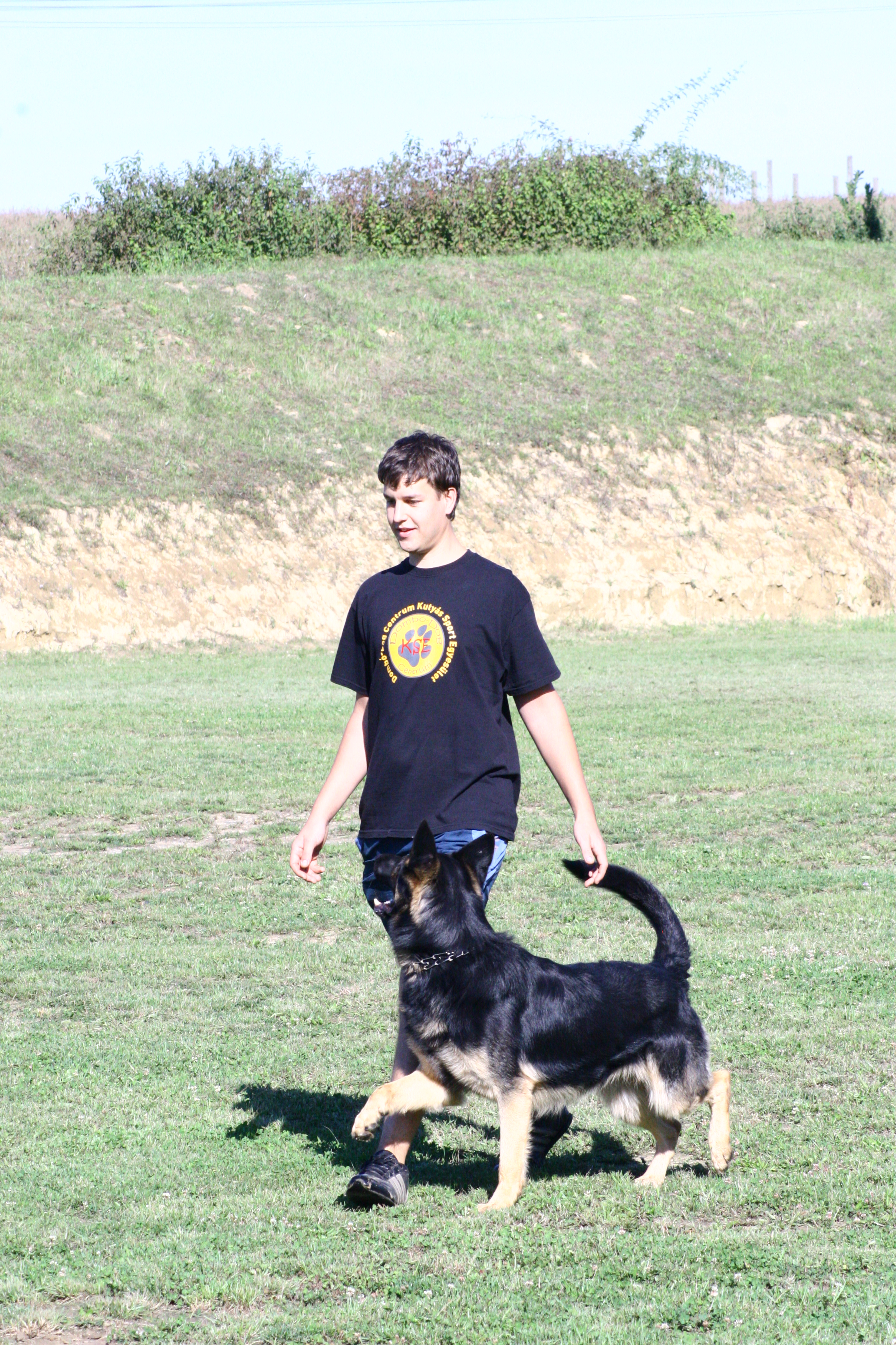 IMG-6985.JPG
