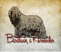 Barátunk, a Komondor csoport