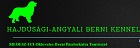 Hajdúsági-Angyali Berni Kennel Berni pásztorkutya kennel