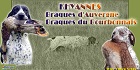 Khyannes - Braque d'Auvergne és Braque du Bourbonnais kennel