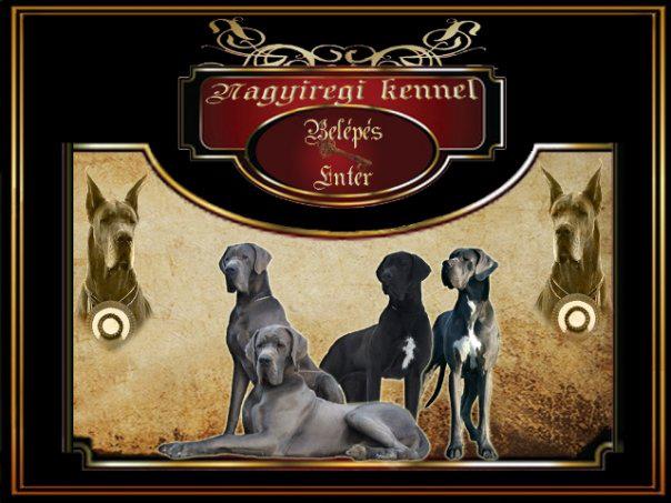  Nagyiregi Kennel német dog & Fehér törpe Schnauzer