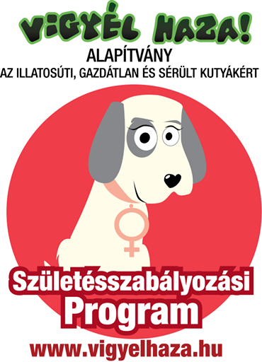 Ingyen ivartalanítjuk az Illatoson örökbe fogadott kutyákat!