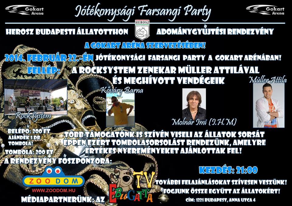 Jótékonysági Farsangi Party