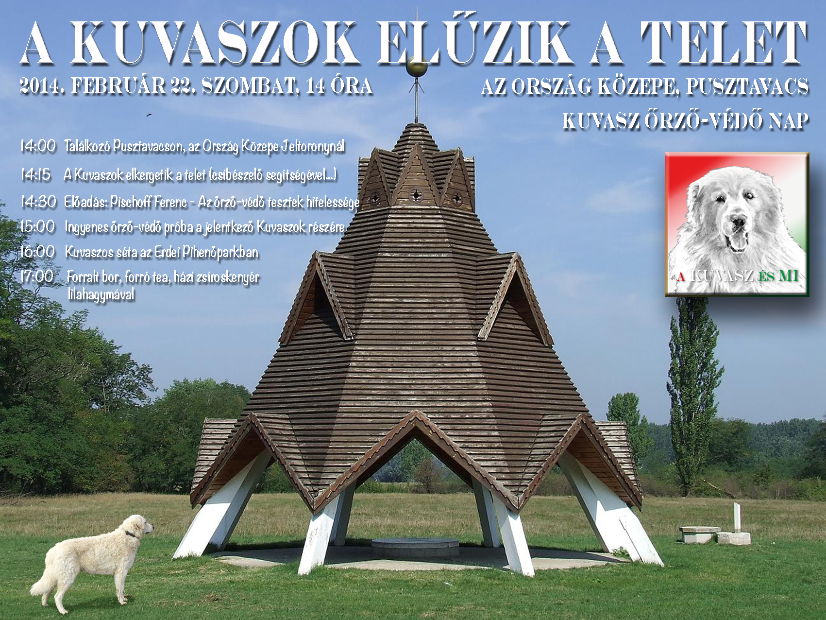 A KUVASZOK ELŰZIK A TELET! 