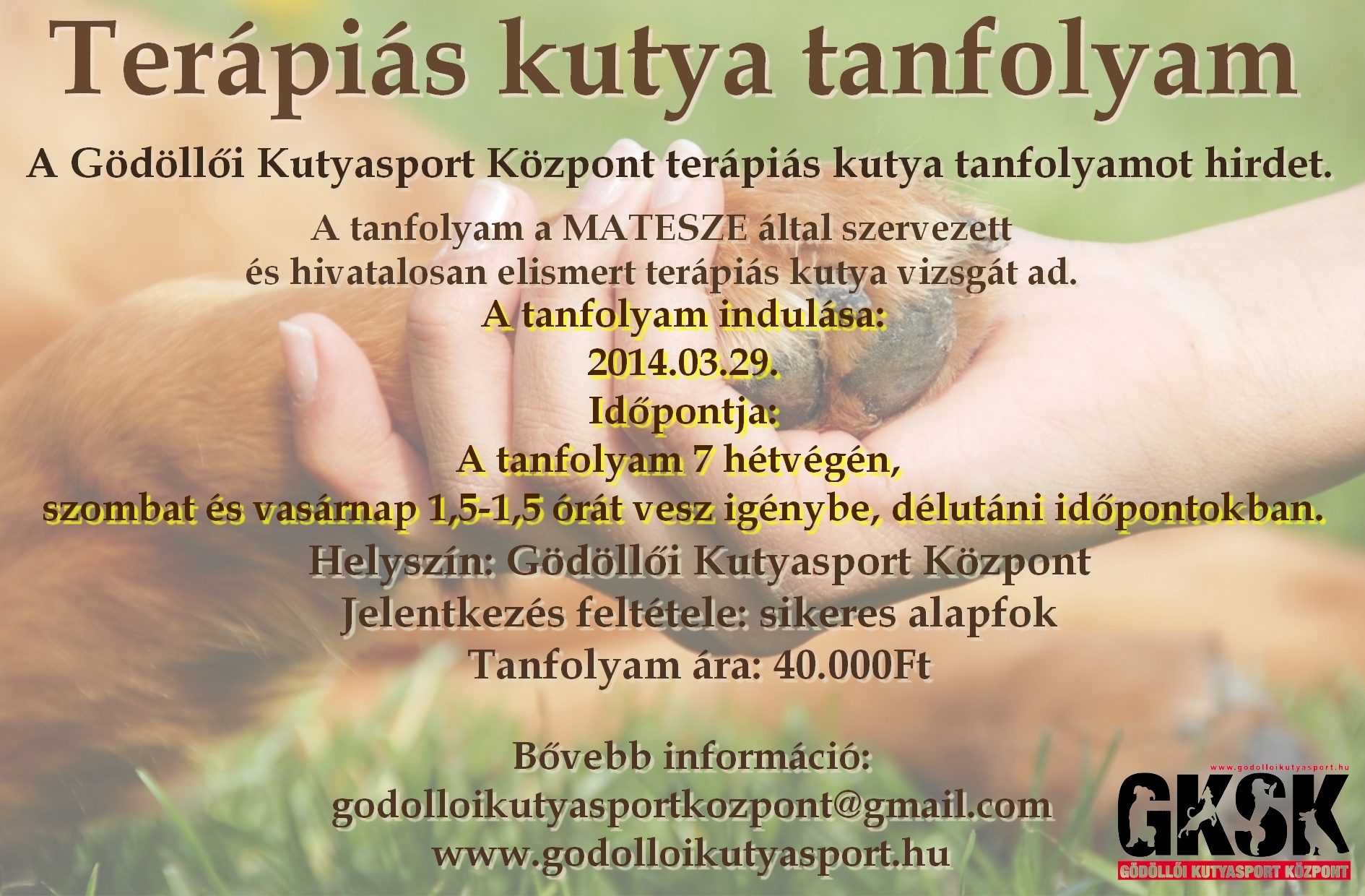 Terápiás kutya tanfolyam