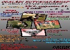 Kutyavasárnap a Gödöllői Kutyasport Központban