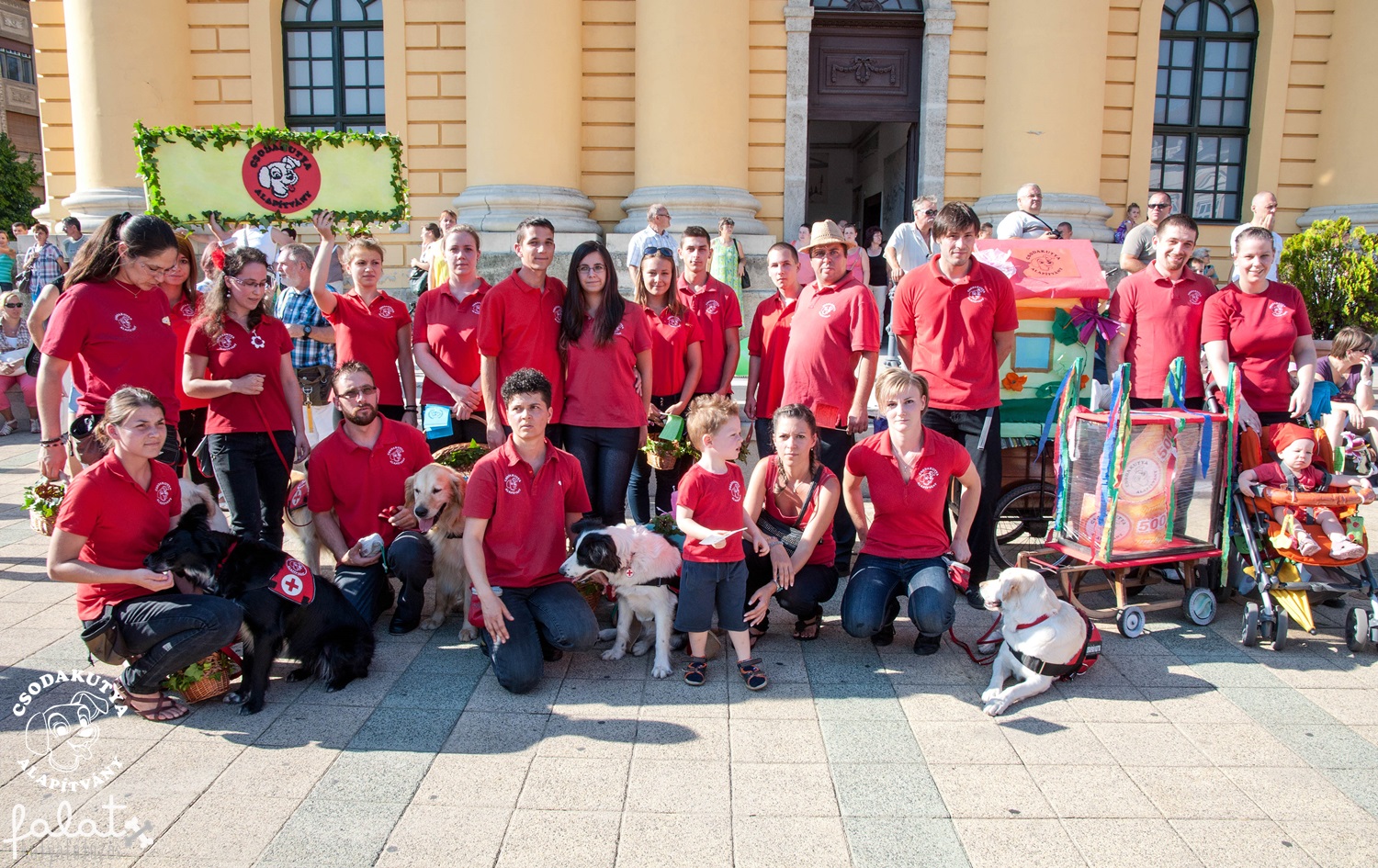 Csodakutyák és a Galiba Fesztivál - Debrecen - 2014. 08.19. 16 óra 