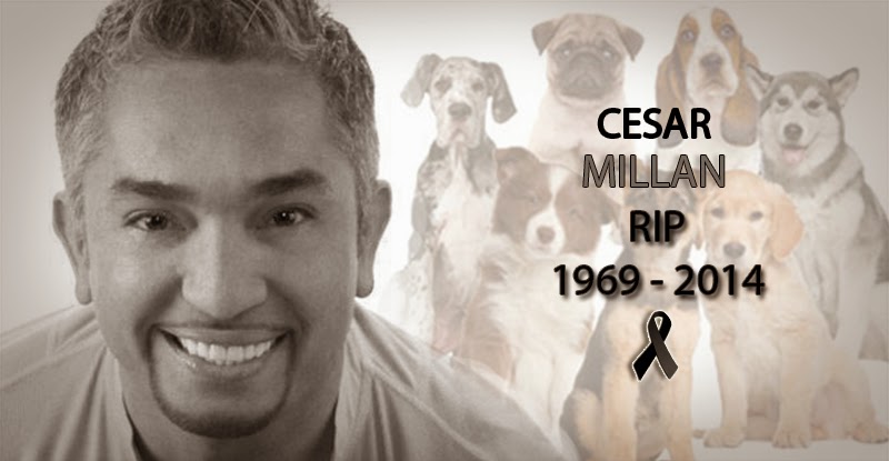 Elhunyt Cesar Millan, a &quot;kutya suttógó&quot;? ÁLHÍR!