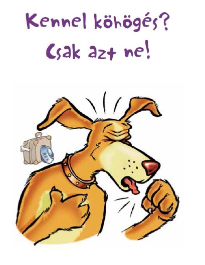 Mi a kennel köhögés?