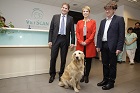 MR-vizsgálatok kutyáknak és macskáknak