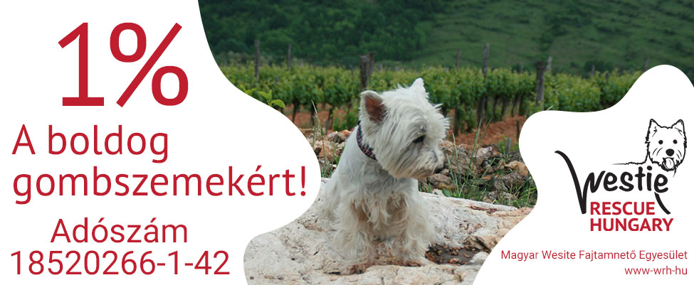 Westie Rescue Hungary