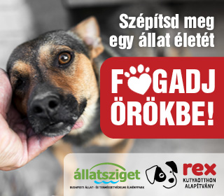 REX Kutyaotthon Alapítvány