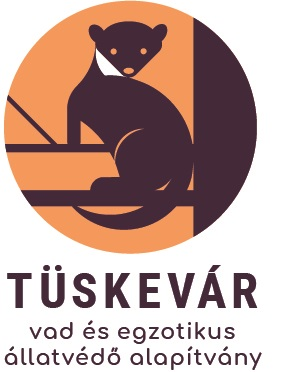Tüskevár