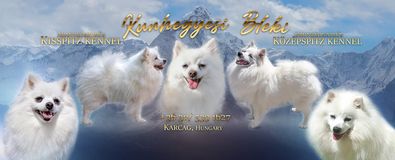 Kunhegyesi Bleki Kennel