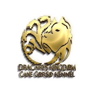 Dracarys Kingdom kennel