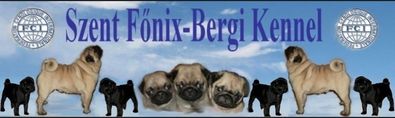 Szent Főnix-bergi mopsz kennel