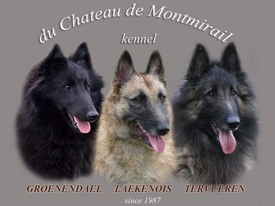 Du Chateau de Montmirail Tervueren - Groenendael - Laekenois Kennel