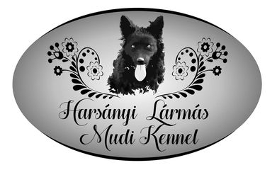 Harsányi Lármás Mudi Kennel