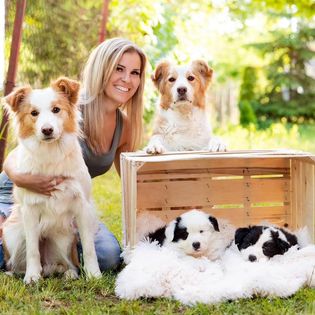 Pieces Of a Dream kennel