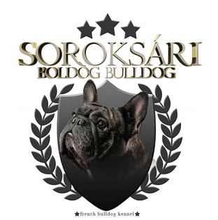 Soroksári Boldog Bulldog kennel