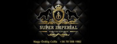 Super Imperial Törpe Schnauzer Kennel