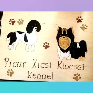 Picur kicsi kincsei kennel