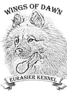 Wings of Dawn eurázsiai kennel