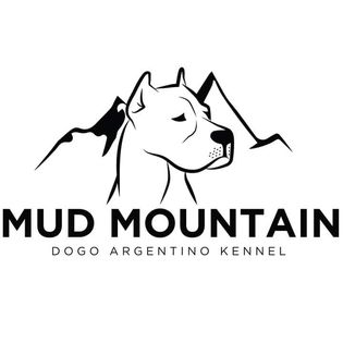 Mud Mountain