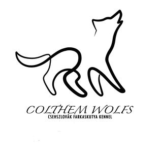 ColThem Wolfs Csehszlovák farkaskutya kennel