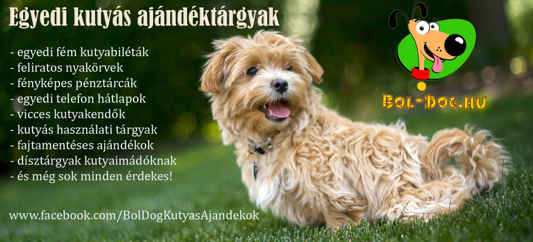 Bol-dog