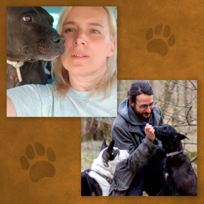 Petcast podcast a kutya örökbefogadásról