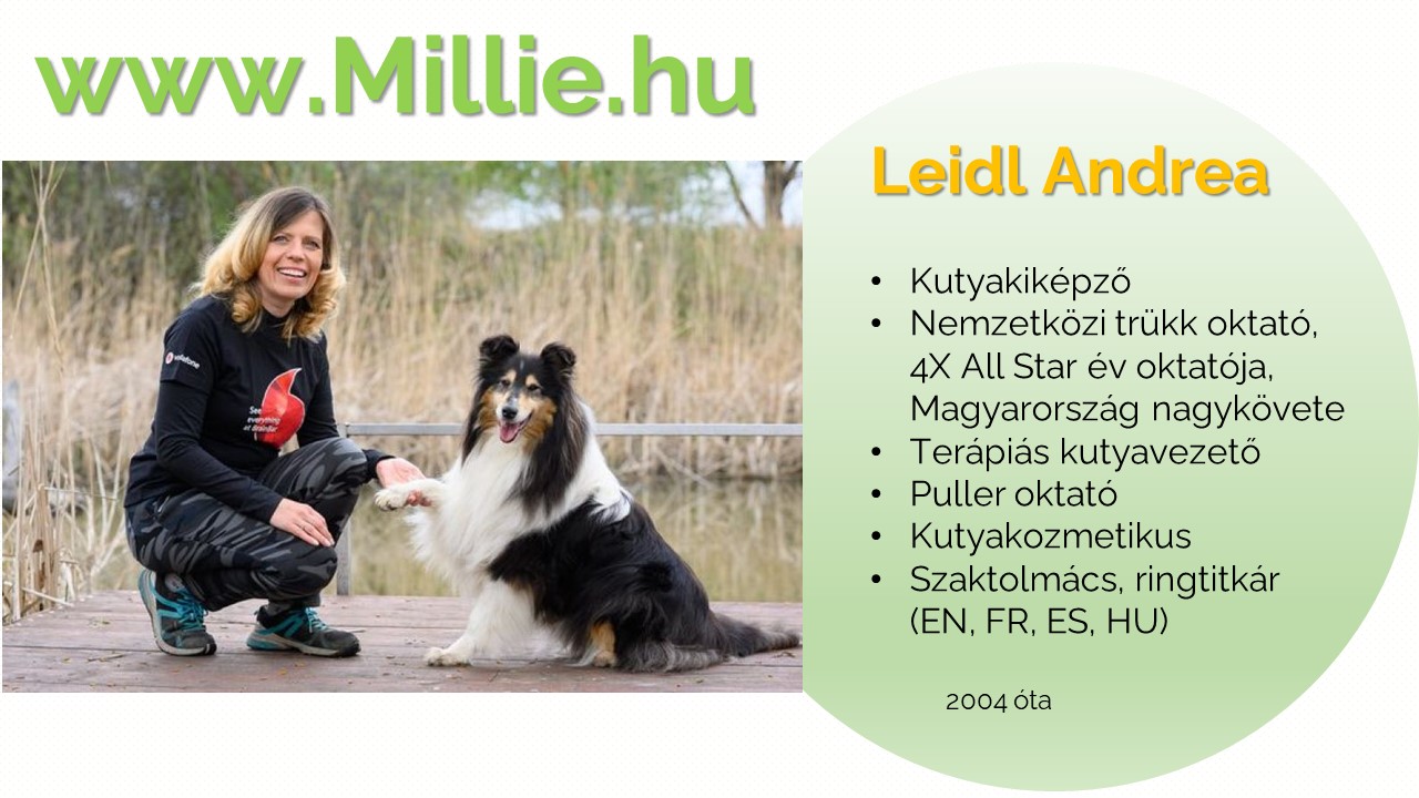 Leidl Andrea