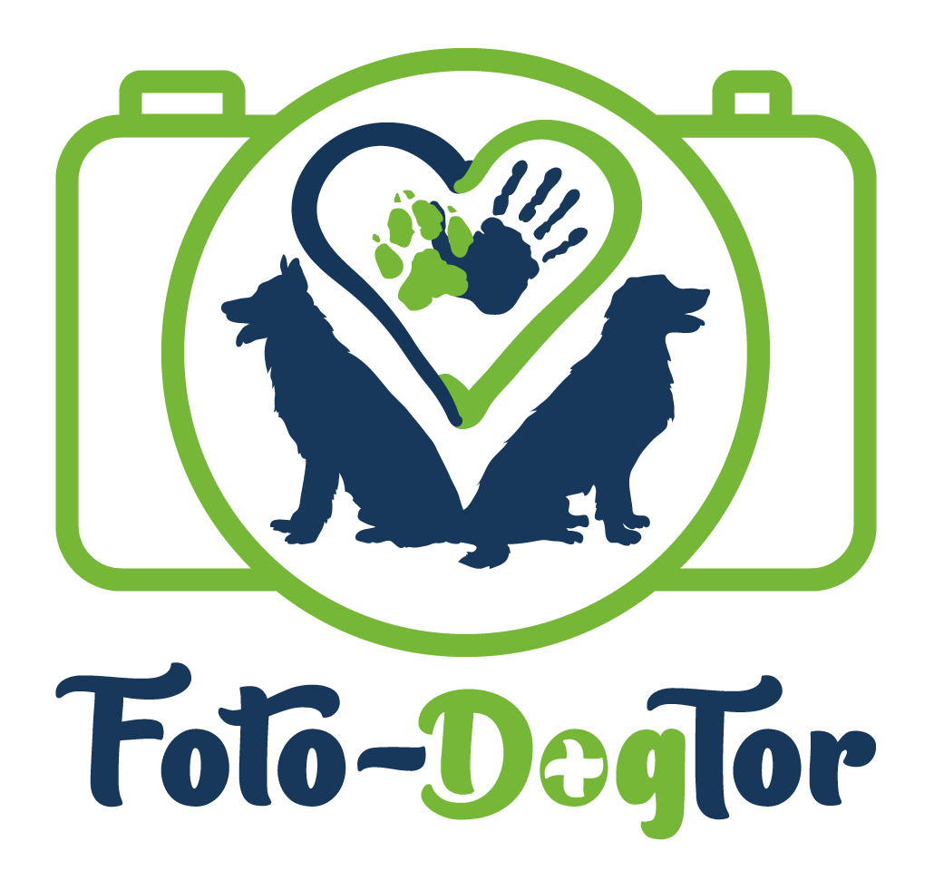Foto-DogTor