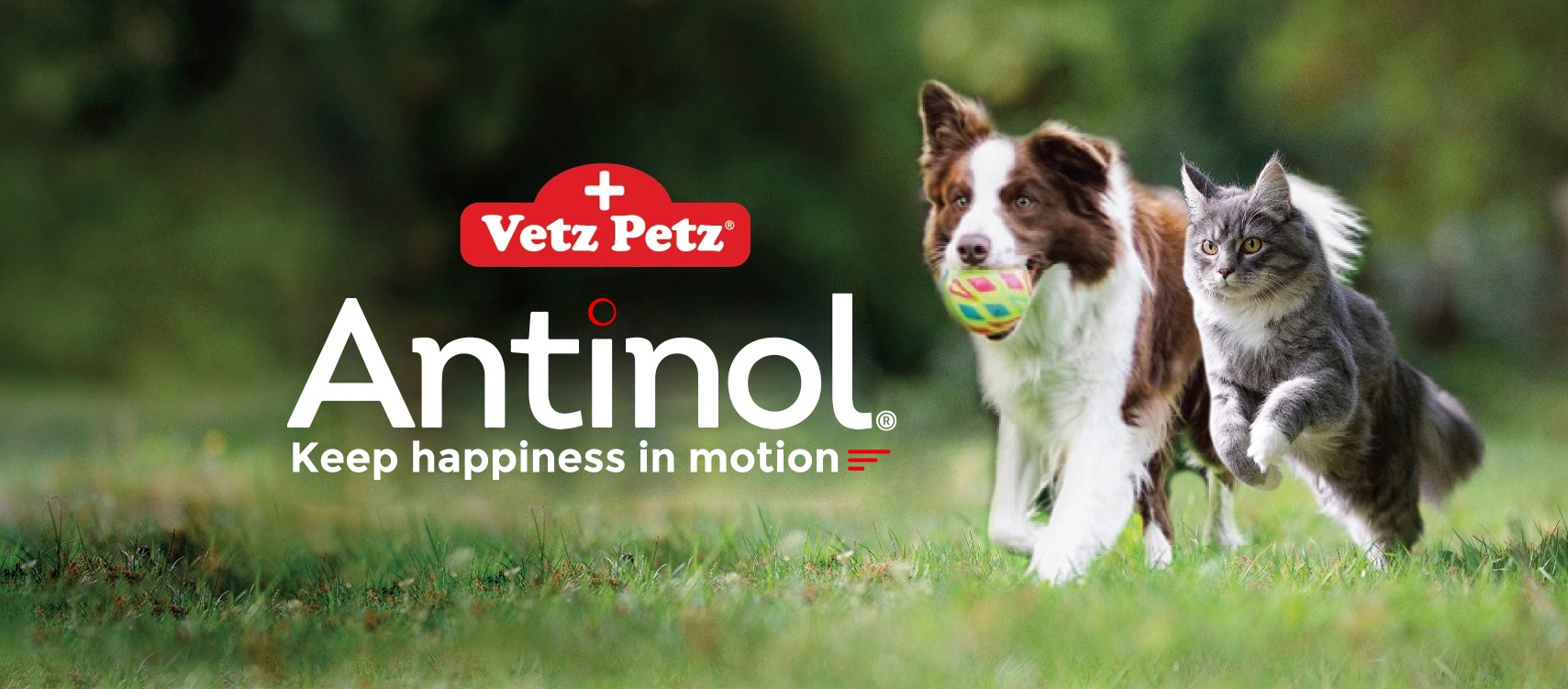 Antinol®
