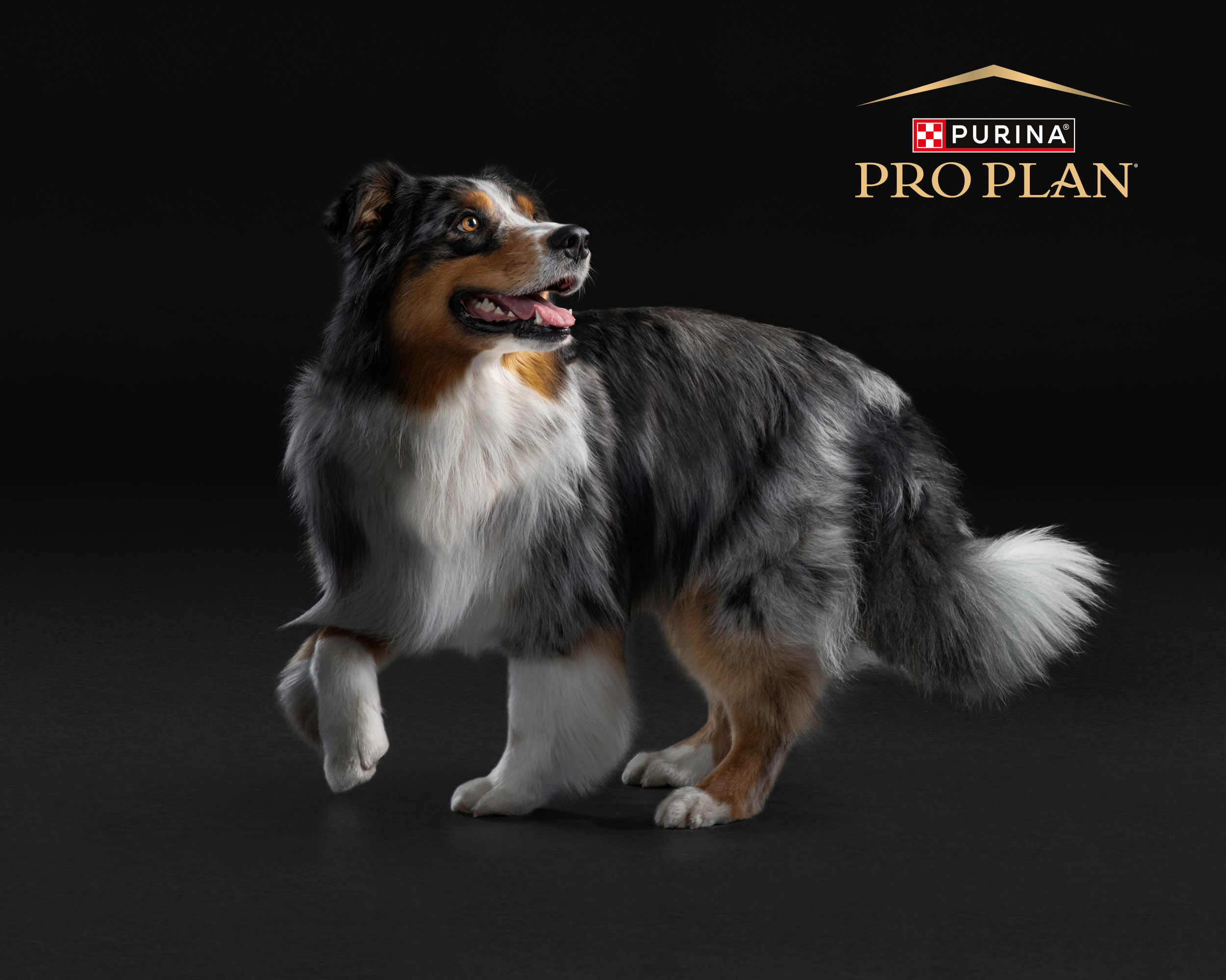 Az egészséges kondíció fenntartása