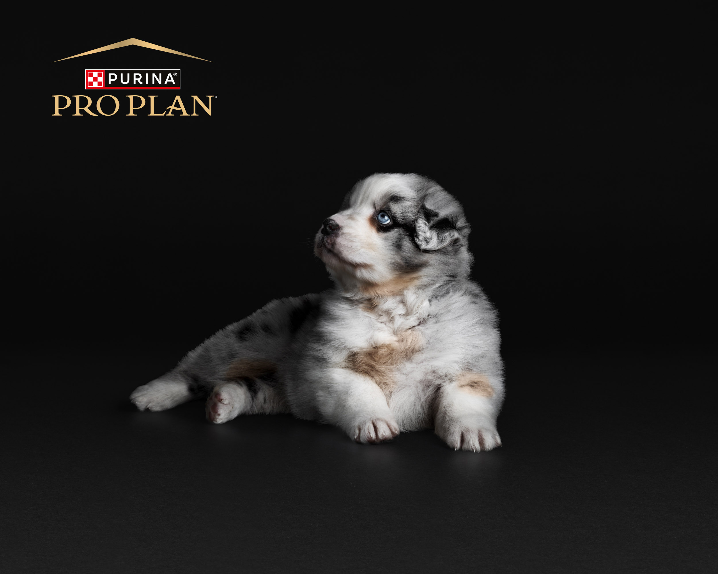 Eledelváltás okosan