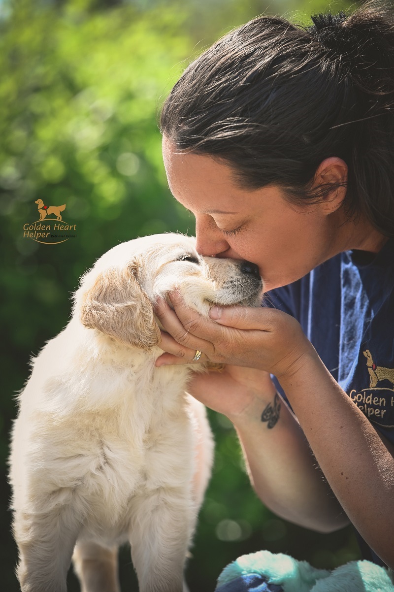 Golden Heart Helper