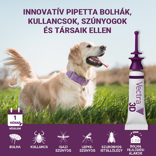 Hogyan öli meg a VECTRA® 3D a bolhákat és a kullancsokat a kutyámon?
