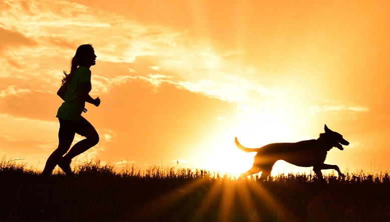 Ha egy kutyás szabályt bevezethetnél...