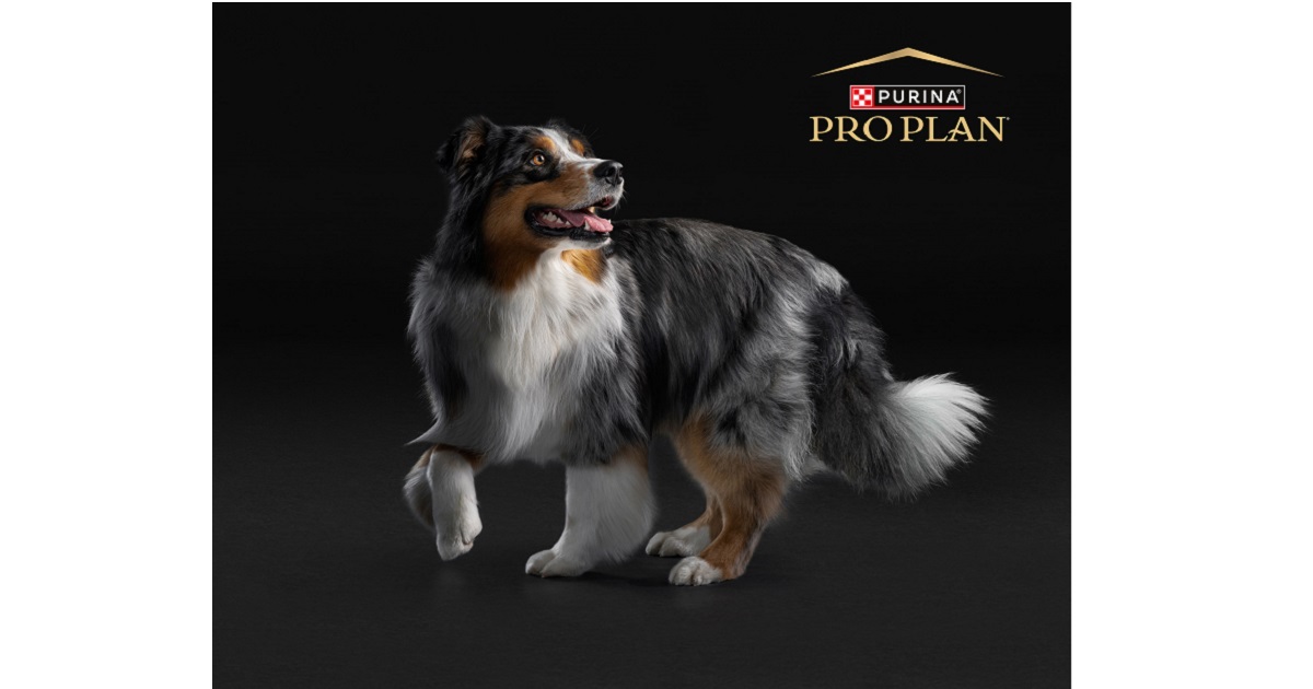 Száraz, nedves vagy vegyes?