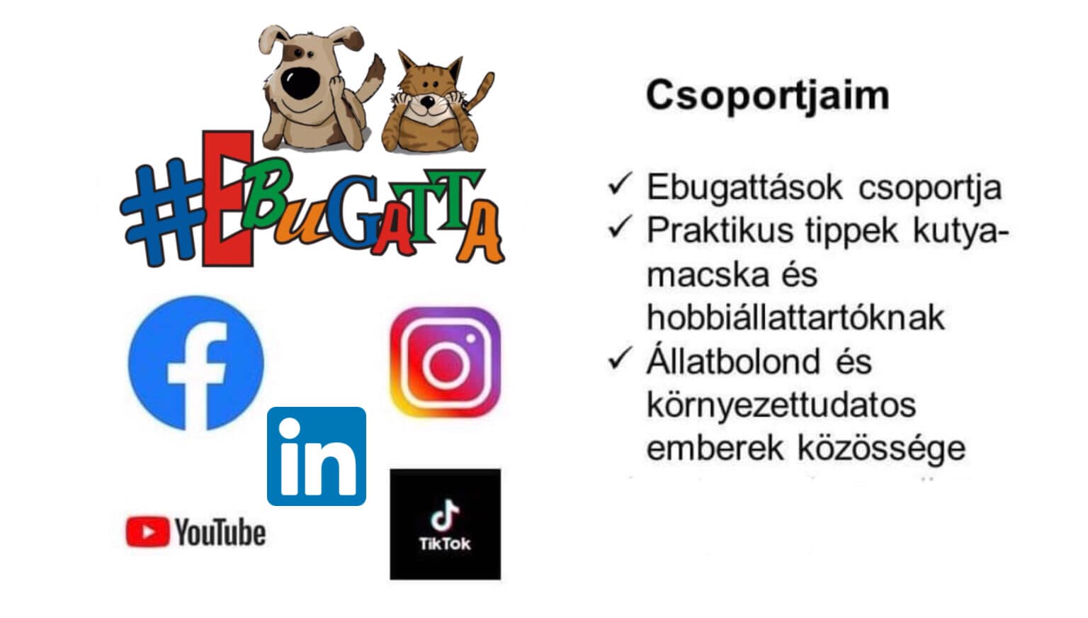Kapcsolat