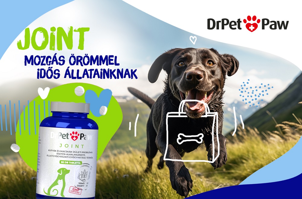 Hosszú séták, mozgékony mindennapok